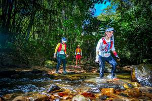 BIB: 5017
                            <button type="button" onclick="openModal(21765434)" class="btn btn-primary btn-sm float-right btn-popup" data-toggle="modal" data-target=".modal-high-quality">
                        <i class="fas fa-shopping-cart"></i> Add to Cart
                    </button>
                                            <button type="button" onclick="isThisMe(21765434, true)" class="btn btn-success btn-sm float-right btn-popup btn-isme hidden" data-toggle="tooltip" data-placement="bottom" title="นี่คือรูปของคุณใช่ไหม คลิกที่นี่เพื่อเอาเข้าอัลบั้ม">
                        <i class="fas fa-plus"></i> Add to album
                    </button>
                    <button type="button" onclick="isThisMe(21765434, false)" class="btn btn-warning btn-sm float-right btn-popup btn-isnotme hidden">
                        <i class="fas fa-ban"></i> Remove from album
                    </button>